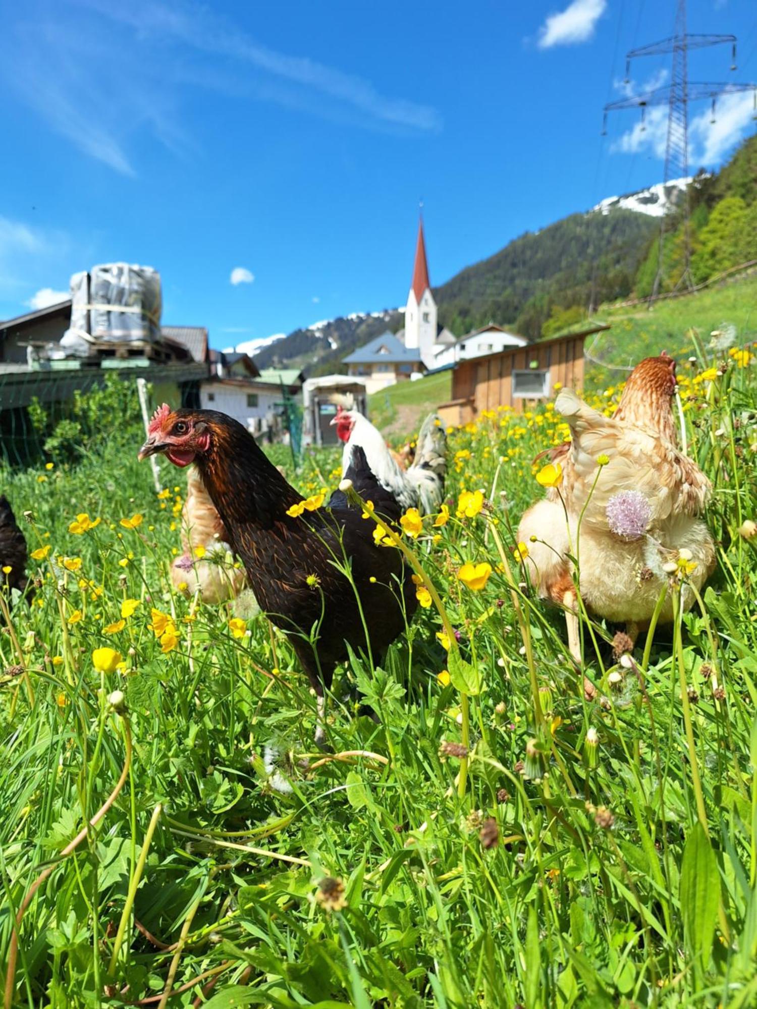 Apartmán Gsoerhof Sankt Anton am Arlberg Exteriér fotografie
