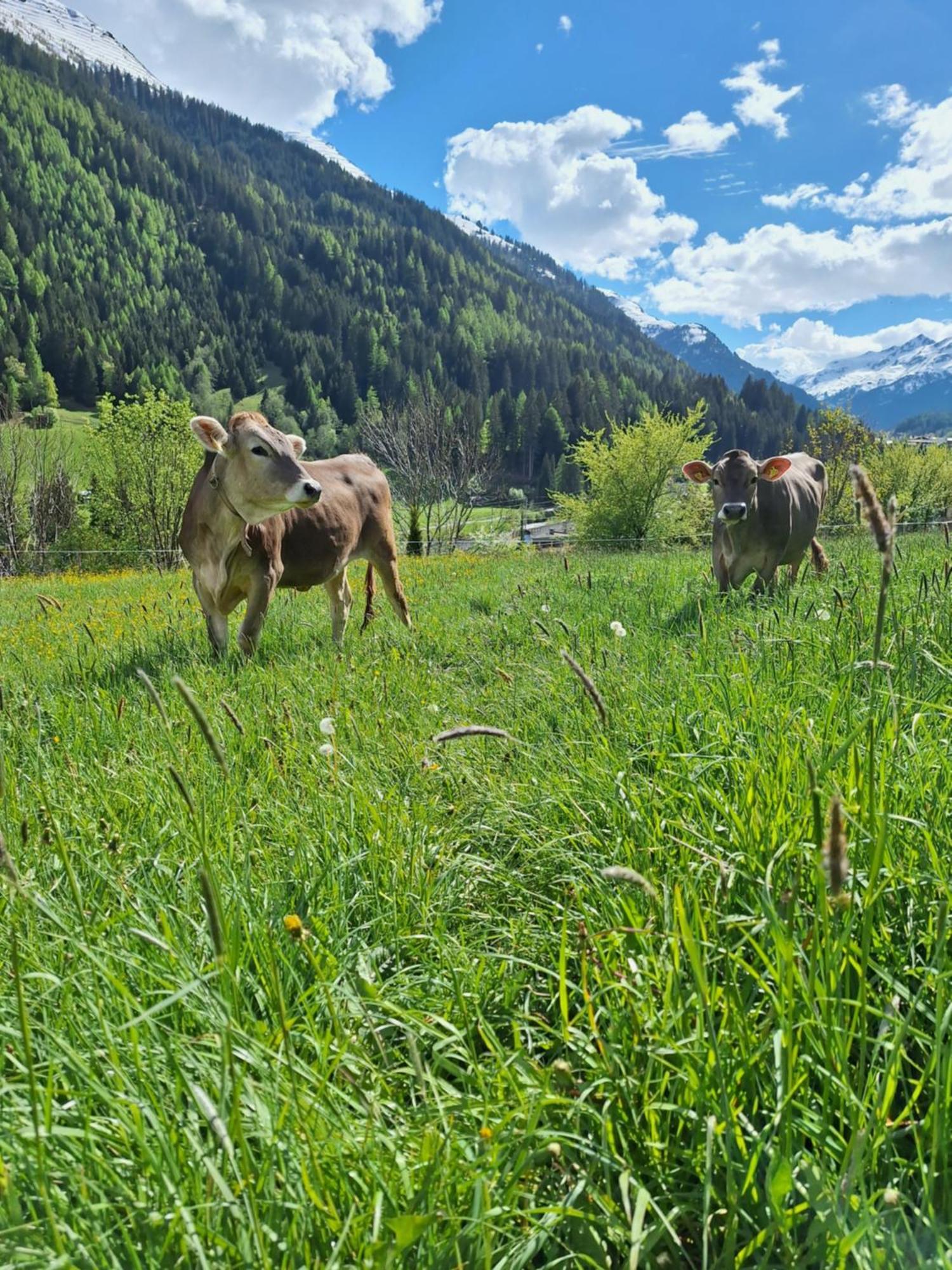 Apartmán Gsoerhof Sankt Anton am Arlberg Exteriér fotografie