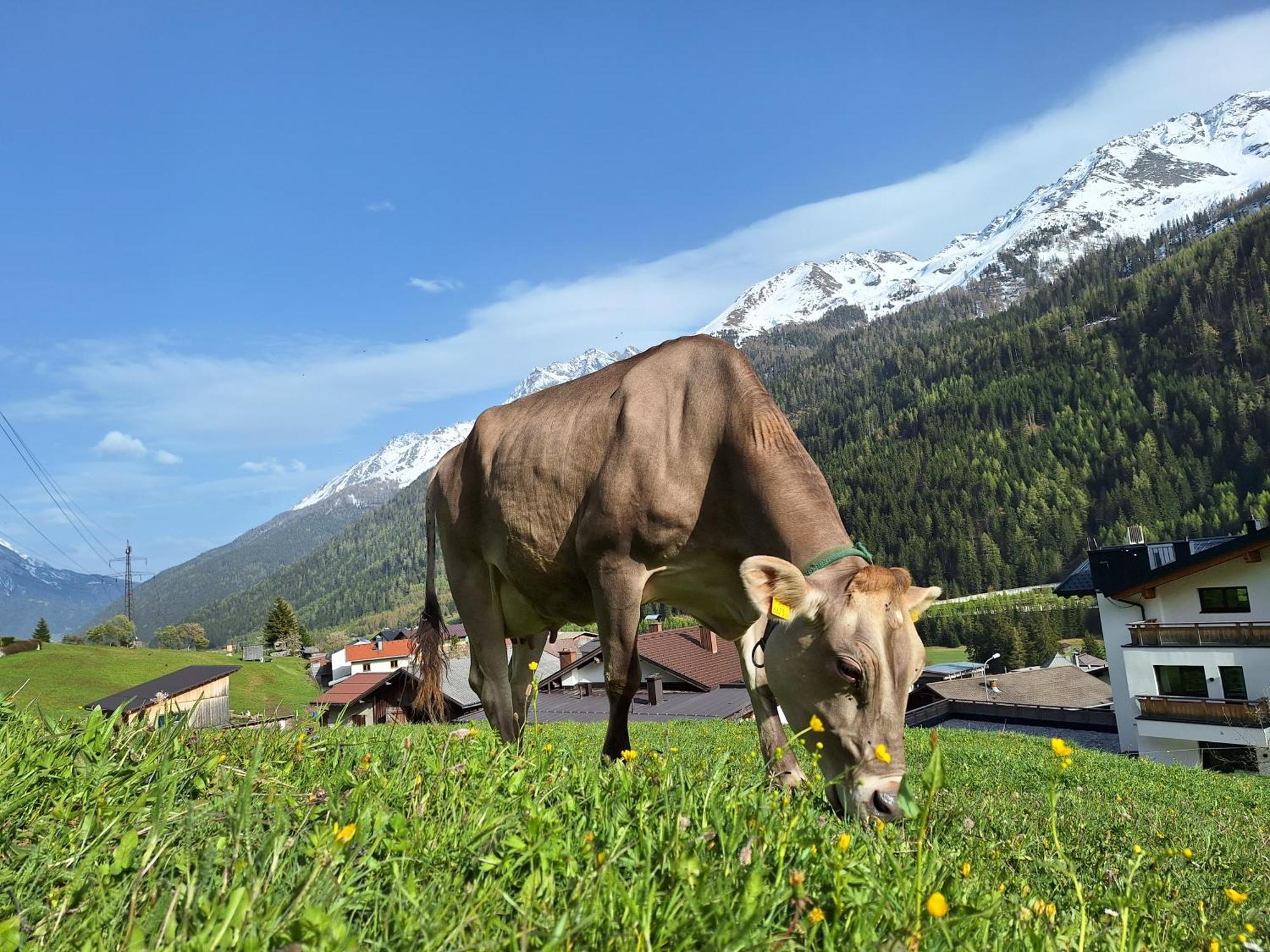 Apartmán Gsoerhof Sankt Anton am Arlberg Exteriér fotografie